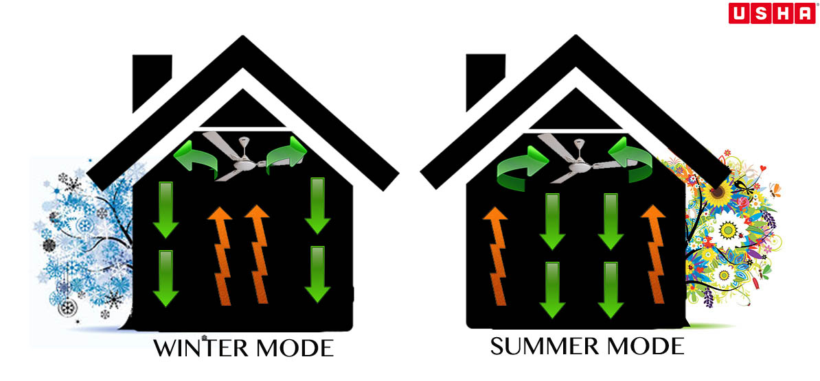 Summertime Tip Change The Direction Of Your Ceiling Fan