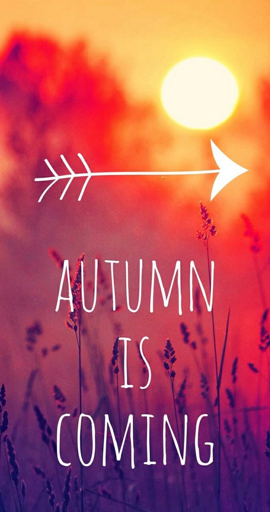 autumn-fall-guote-leaves-Favim.com-2112986